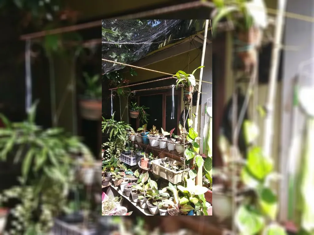 WhatsApp Image 2023-01-06 at 09.57.52.jpeg